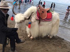 -青海湖国家重点风景名胜区