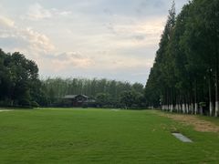 -合肥滨湖国家森林公园