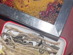 -二荆条·蜀鲜汇城市森林火锅