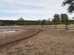 -月河湾马术俱乐部(朝阳店)