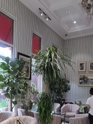 -爱儿美儿童摄影(五路居花园别墅店)