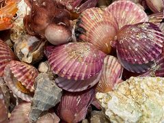 -大锅强·蒸海鲜青岛菜(吾悦广场店)