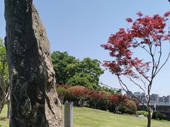 -楚望台遗址公园