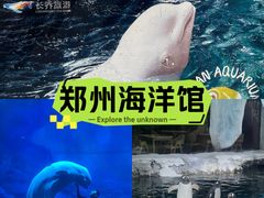 -郑州海洋馆