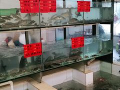 水产区-小乡小镇·传承桐庐土菜·老板亲自烧的菜
