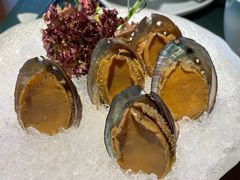 手工冰镇鲍鱼-木棉·醉心粤味(COCO Park店)