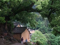 -杨家堂村