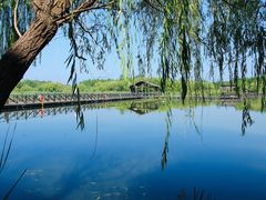 -溱湖国家湿地公园