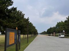 -汉长安城未央宫国家考古遗址公园