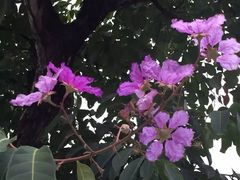 iphone_upload_pic-鹅滋道(甘坑古镇店)