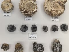 -房山世界地质公园博物馆