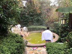 -天目湖涵田半山温泉