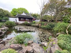 -上海醉白池公园