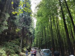 -山王坪喀斯特国家生态公园