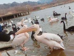 -新疆天山野生动物园