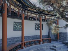 -迎泽公园