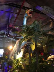 -恐龙探索乐园(磁器口店)