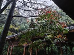 -杭州半山国家森林公园