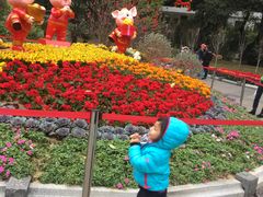 -晓港公园