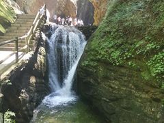 -牛背梁国家森林公园