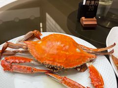 -高佳庄·舟山海鲜(海景旗舰店)