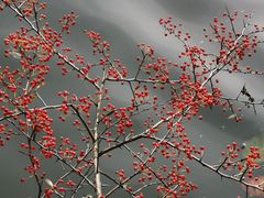 -陕西师范大学(雁塔校区)