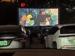 -枫花园汽车电影院(朝阳公园店)