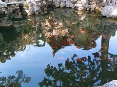 -个园
