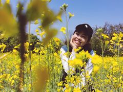 -长洲岛都市农业公园