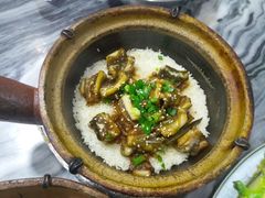 -红星光发煲仔饭(大石街店)