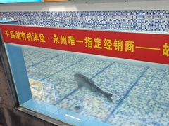 -故乡缘·香格里拉山庄(冷竹路店)