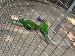 -大连森林动物园