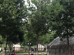 -九十九顶毡房(阜石路店)