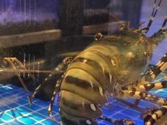 -珍宝轩海鲜火锅(碧湖大厦店)