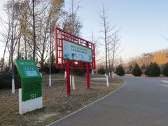 -东郊湿地公园