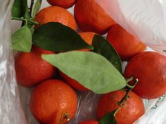 -淡村菜市场