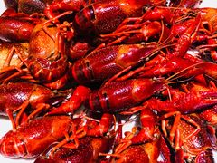 蒸虾-刘胖子家常菜·蹄花焖藕(兴业店)