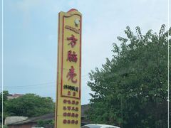 -方脑壳