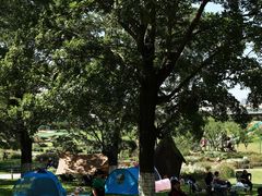 -秀丽东方