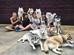 -TrueLove @ Neverland (Husky Cafe)