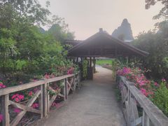 -明仕田园