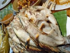 -杨合林啊兰烤鱼