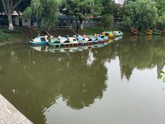 -太子山公园(园东路)