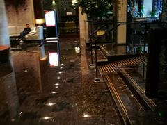 -郑州正方元国际酒店