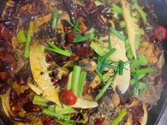 -老板恋上鱼(恒隆广场店)