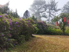 -白云山风景名胜区