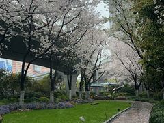 -陆家嘴空中步行连廊