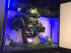 -绿茶餐厅(成都大悦城店)