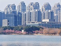 -天鹅湖体育公园