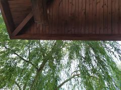 -大兴滨河森林公园